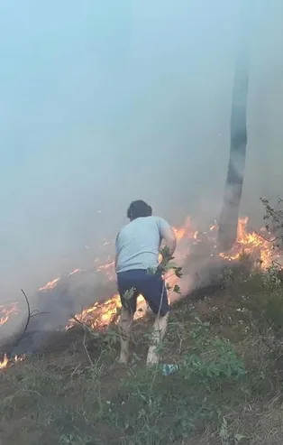 Son dakika: Maltepe'de ormanlık alanda yangın