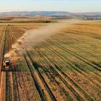 Tarım ve Kırsal Kalkınmayı Destekleme Kurumu 42 uzman alacak! TKDK işçi alımı şartları ve kadroları