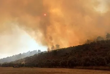 Milas’ta korkutan orman yangını