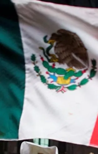 Gizli mezarlarda 15 ceset bulundu