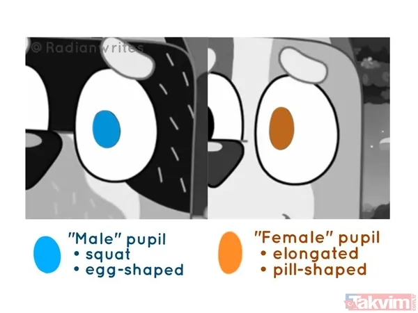 LGBT terörü bu kez çizgi filmde: Sapkın evlilik iki anne! Hedefte Türk çocuklar da var - 11