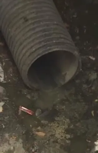 Yine İBB yine “eko-felaket”! Maltepe’de kötü koku vatandaşı isyan ettirdi