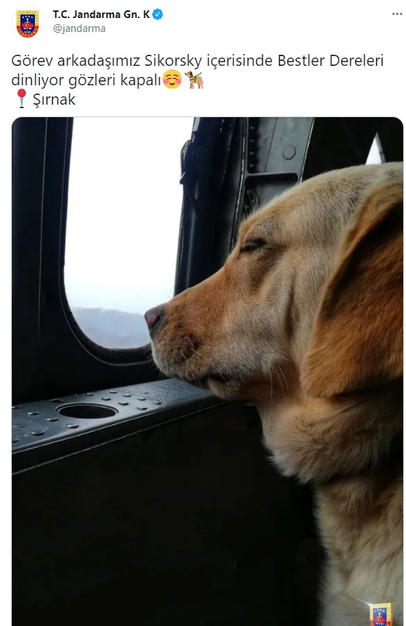 jandarmadan-gulumseten-paylasim-sikorsky-bestler-dereleri-dinliyor-gozleri-kapali-1618236058082.jpg