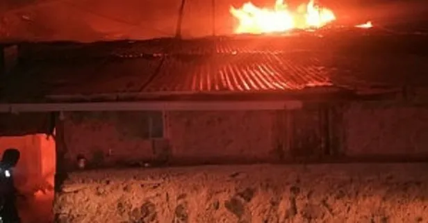 Ankara’da ahırda çıkan yangında 30 küçükbaş öldü