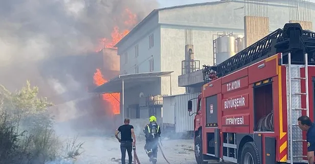 Aydın’ın Efeler ilçesinde korku dolu dakikalar! Otluk alanda çıkan yangın fabrikaya sıçradı | 1 itfaiye personeli fenalaştı