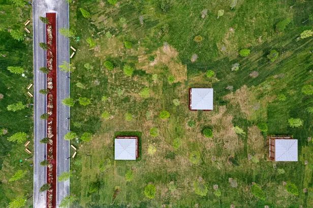 Başkan Erdoğan hizmete aldı: Atatürk Havalimanı Millet Bahçesi'nin ilk etabı açıldı! 10 bin 81 ağaç 41 bin bitki dikildi-6