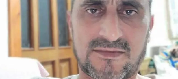 Akılalalmaz olay! Kestiği ağacın dalı sonu oldu