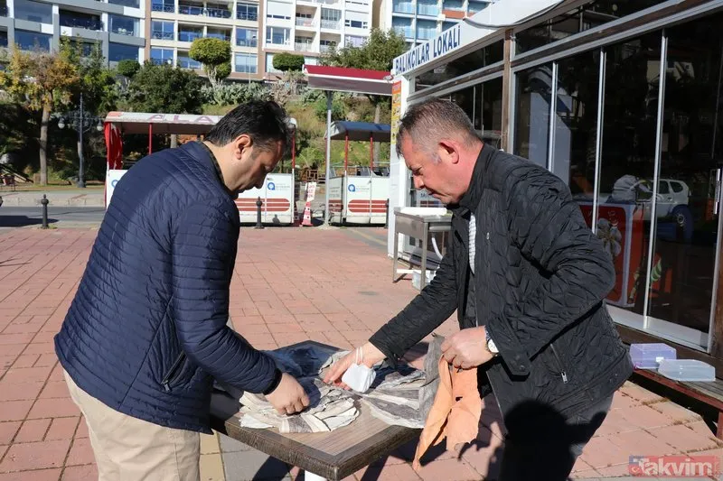 Balıkçıların kabusu oldu! Balon balığının derisiyle ayakkabı cüzdan çanta üretilecek