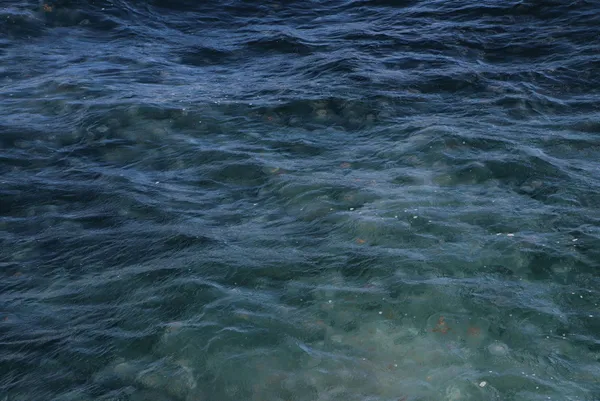 marmara-denizinde-korkutan-manzara-musilajdan-sonra-simdi-de-deniz-anasi-1639142205060.jpg Marmara Denizi'nde korkutan manzara! Müsilajdan sonra şimdi de deniz anası-6