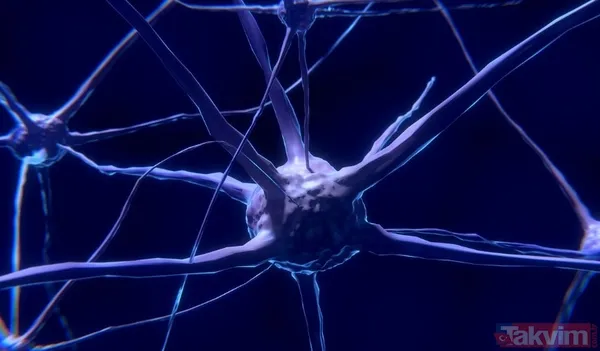 Meditasyon Ve "Zihinsel Hijyen" Kırışıklıkları Nasıl Engeller? Kronik Stres, Vücutta Kortizol Hormonunu Yükseltir. Kortizol İse Cilde Esneklik Veren Kolajen Ve...