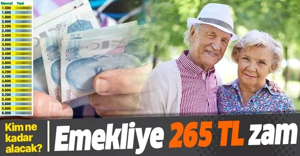 Emekliye 265 lira zam | 2020 SSK SGK ve Bağ-Kur güncel emekli maaşı ne kadar olacak?