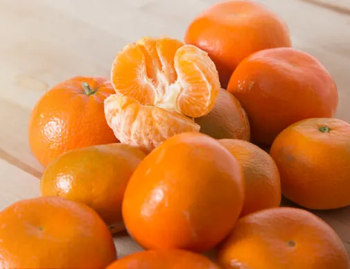 Türkiye’den 110 miyon dolarlık ihracat!