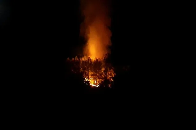 Muğla Fethiye'de orman yangını!