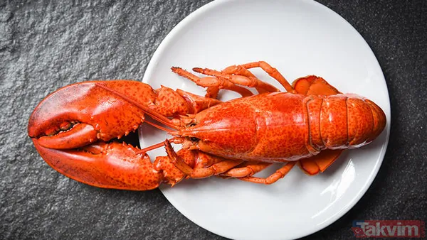 Beyin Hücreleri Birbiriyle İletişim Kurmak İçin Çinkoyu Kullanıyorlar Ancak Fazla Alınan Çinko Hem Toksik Hale Geliyor Hem De Beyinde Plak Oluşumuna Zemin...