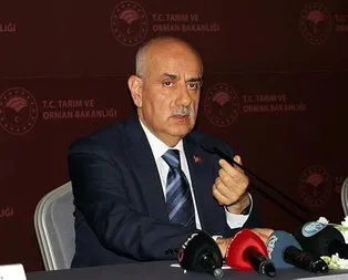 Bakan Kirişci’den kısırlaştırma açıklaması