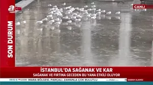 Son dakika: BUDO ve İDO’da sefer iptalleri