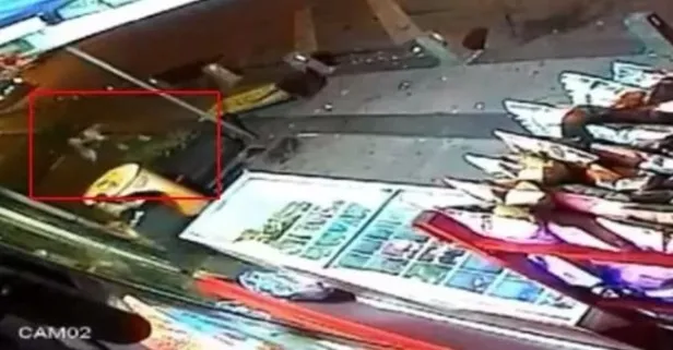 Ümraniye'de polis memuru Şeyda Yılmaz'ı şehit eden Yunus Emre Geçti suç makinesi çıktı: Çocuğa cinsel istismar...