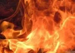 60 ton patates çöpe gitti