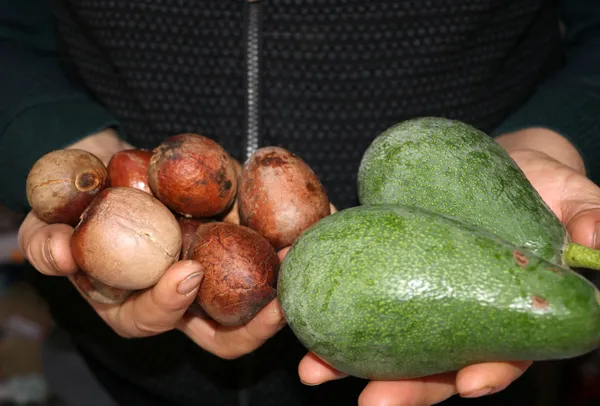 avokado-antalya-alanyada-alisveris-araci-oldu-cekirdeginin-tanesi-1-tl-1611039722236.jpg Avokado Antalya Alanya'da alışveriş aracı oldu! Çekirdeğinin tanesi 1 TL-6