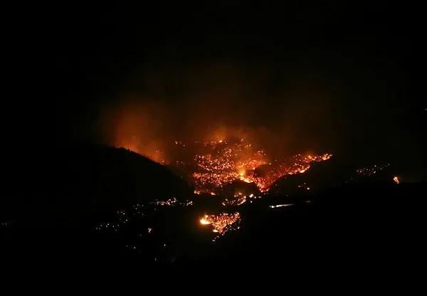 fettah-can-bu-yangini-baslatanpkkli-pclerin-bulunupo-ormanda-benzin-dokulup-yakilmasi-lazim-1602432229570.jpg Fettah Can: Bu yangını başlatan PKK’lı p.çlerin bulunup o ormanda benzin dökülüp yakılması lazım-5