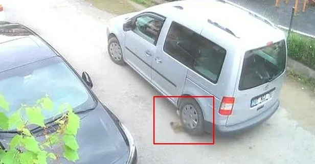 Kocaeli'de korkunç olay! Yavru köpeği...