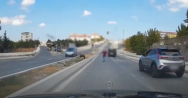 Arnavutköy'de tartıştığı sürücüye taşla saldıran maganda yakalandı! Bakan Yerlikaya'dan açıklama