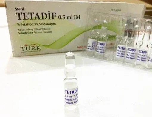 İthalat bitti ihracat başlıyor