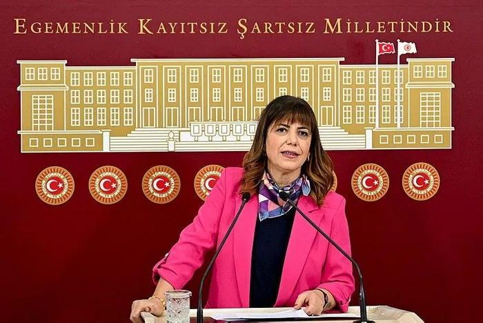 HDP'li isimden Meclis'te skandal sözler! Meral Danış Beştaş TBMM'de bebek katili Abdullah Öcalan'a övgüler yağdırdı-3