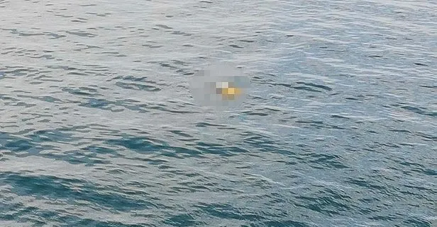 Van'daki arama çalışmalarında flaş gelişme