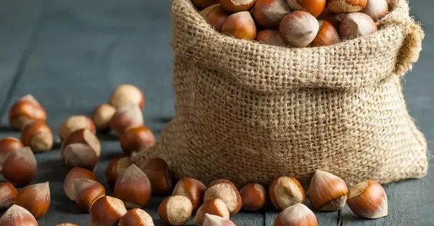 Fındık destek ödemeleri yattı mı 2021? Fındık destek ödemeleri ne zaman yatacak? Tarih belli oldu!