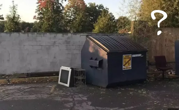 Zeka testi: 10 saniyede arka bahçede gizlenmiş geyiği bulabilir misin? 580 kişi denedi, 15'i başarılı oldu - 5