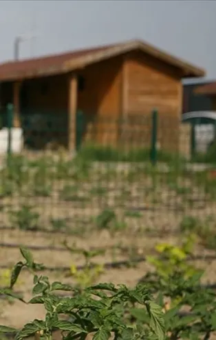 Metrekare başına 100 lira ceza! Kiralayana da verilecek