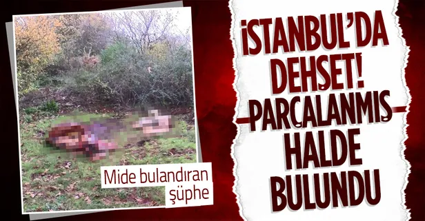 İstanbul'da dehşet görüntü! Yemek yerken tekrar düşünün: Sarıyer'de yol kenarında kesilmiş at parçaları bulundu