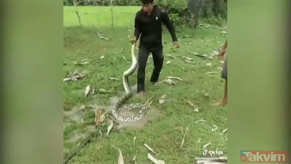 Yılan evcil köpeğe saldırdı! Dehşet dolu anlar... - 9