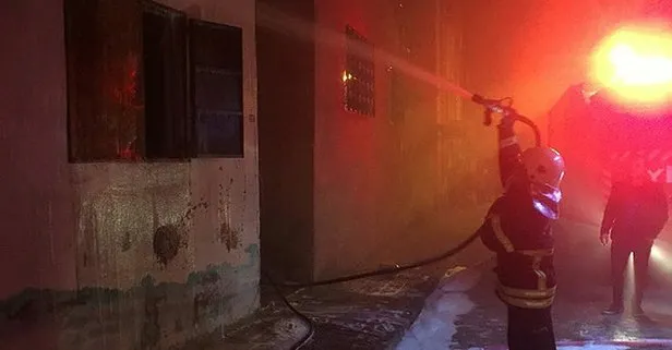 Aydın'da yangın! Koyunlar telef oldu