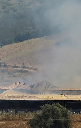 İzmir'de saman deposunda yangın çıktı