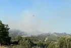 Çanakkale'de orman yangını! Çok sayıda ekip bölgeye sevk edildi