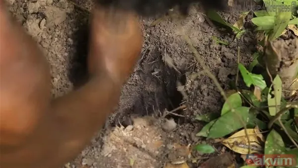 Sadece ağaç kullanarak öyle bir şey yaptı ki! YouTube videosu milyonlar izlendi - 5