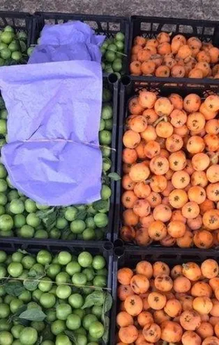 1 milyar doları aştı