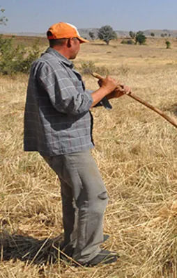 Çiftçiye 1 milyon lira hibe destek