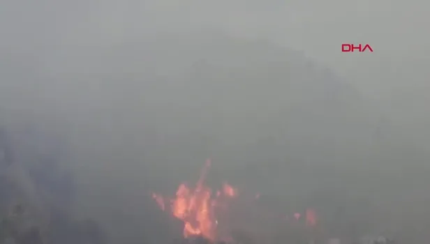 Muğla'da korkutan orman yangını