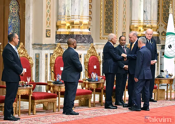 Kahire'de D-8 zirvesi! Sisi ve liderler Başkan Erdoğan'ı ayakta karşıladı - 6