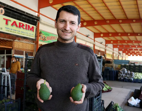 koronavirus-doneminde-avokadoya-talep-patladi-ureticiler-yetisemiyor-1615787534155.jpg Koronavirüs döneminde avokadoya talep patladı! Üreticiler yetişemiyor...-2