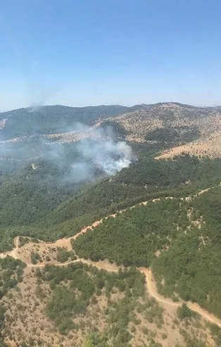 Son dakika: İzmir'de orman yangını