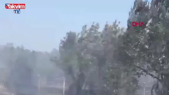 Edremit'te tarım arazisine sıçrayan yangın kontrol altına alındı