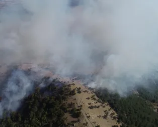 Son dakika: İzmirde orman yangını sürüyor! İki mahalle boşaltıldı