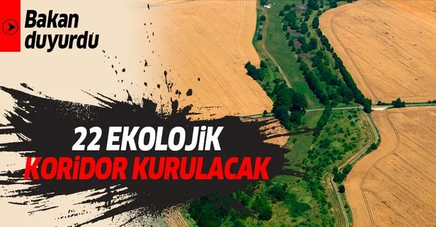 Çevre ve Şehircilik Bakanı Murat Kurum duyurdu: 22 ekolojik koridor kurulacak