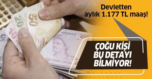Devletten Aylık 1.177 TL maaş! Birçok kişi nakdi ücret desteğindeki bu detayı bilmiyor!-1