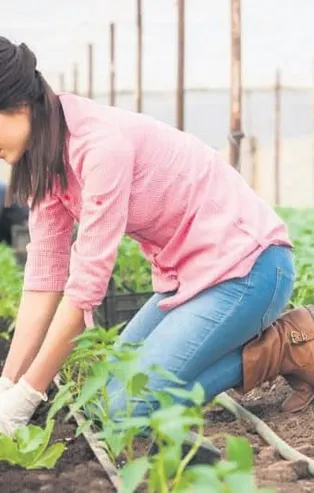 Orman köylüsüne hibe ve faizsiz kredi! Üretim yapmak isteyen orman köylüsünün yardımına ORKÖY destekleri devrede