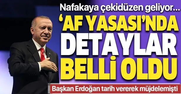 Başkan Erdoğan, Meclis açıldığında affın çıkacağını açıkladı